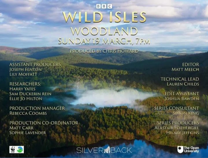 Wild Isles Woodland