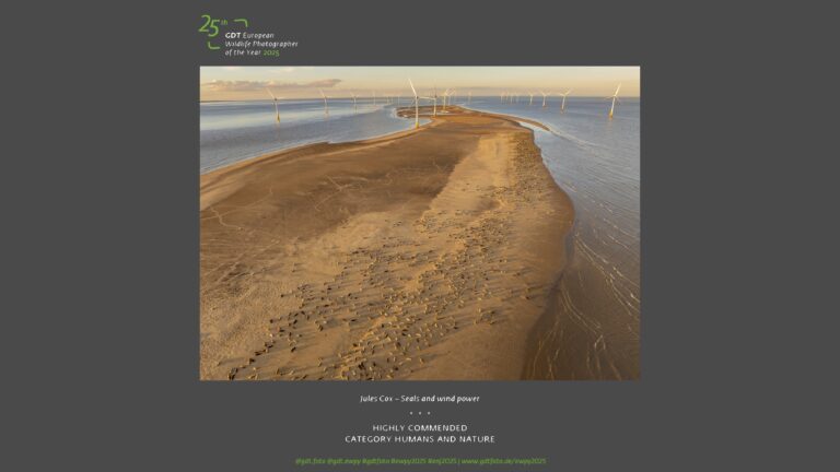 European Wildlife Photographer of the Year