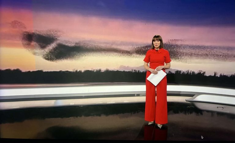 Starling Murmurations – interview for RTE